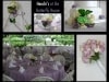 butterfly-house-collage-20120609 butterfly-house-collage-20120609